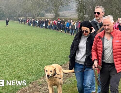 Norfolk villagers gather for walk against solar farm plans