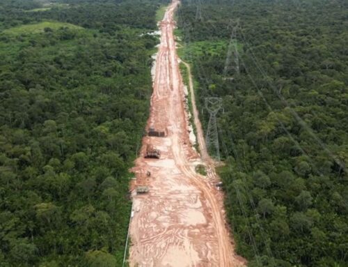 Brazil clears eight miles of Amazon rainforest for road to Cop30