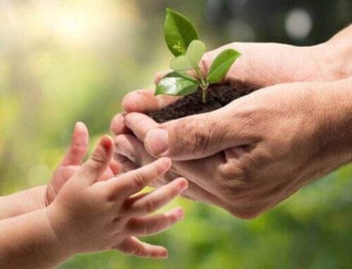 National environmental education day observed