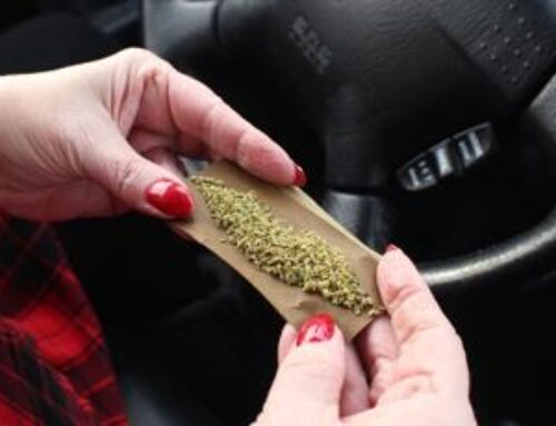 Blunt statistic: Most cannabis users consume an hour before driving, AAA study finds