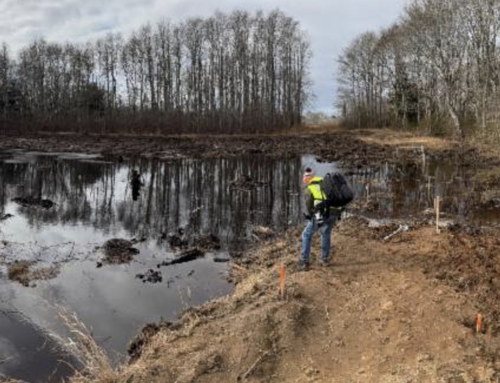 Windswept bog restoration project in the books