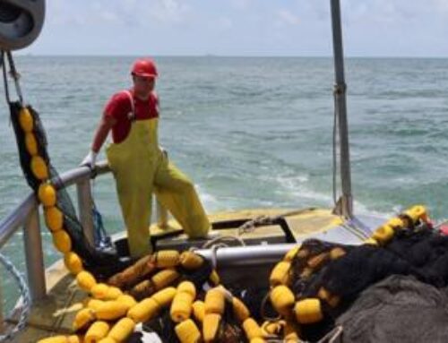 Investing in Innovation: How Louisiana’s Menhaden Industry is Leading in Sustainability