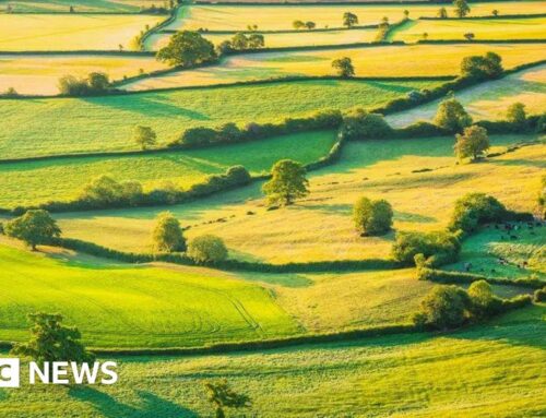 Environmental scheme closure a ‘shattering blow’ to farmers