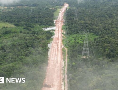 Amazon rainforest cut down to build highway for COP climate summit