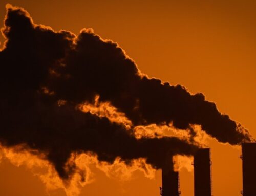 Carbon dioxide levels in atmosphere reach 800,000-year high