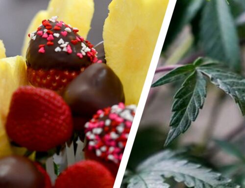 Company behind Edible Arrangements is selling edibles, THC-infused drinks: ‘Defining moment’