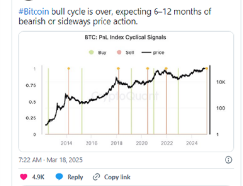 Is Bitcoin’s Bear Market Roaring Back? Probably Not But Best Wallet Still Picks Crypto’s Winners