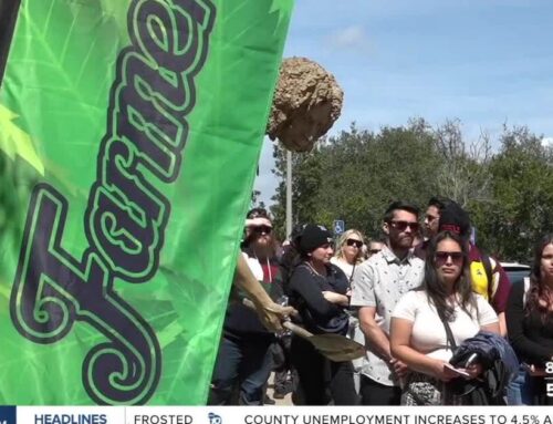 Farmer’s Cup Blazes Trail for Cannabis in San Diego