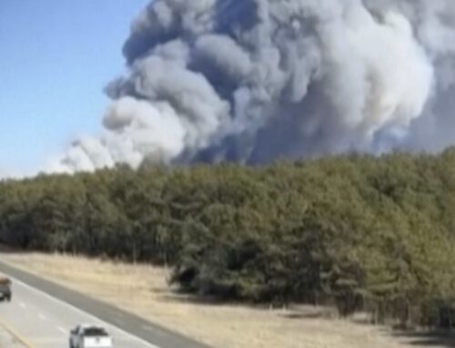 Firefighters seek to contain wind-driven brush fire on Long Island