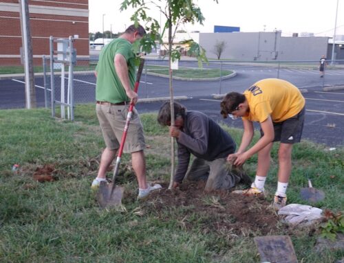 A Chicago church won’t be planting fruit trees this spring as climate funds remain frozen