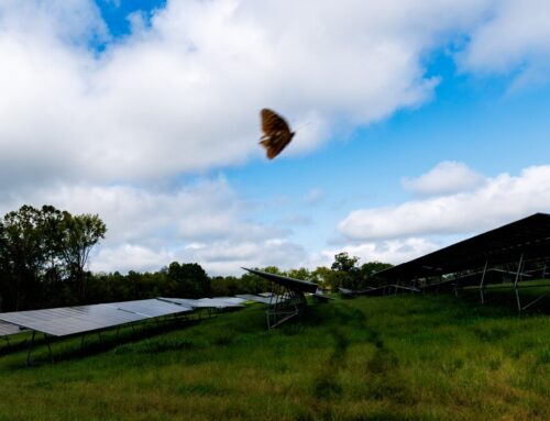 Virginia Democrats pass proposal to incentivize small solar projects