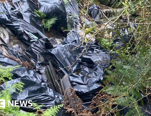 Cornwall residents report environmental crimes following report