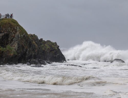 Cyclone Alfred lashes parts of eastern Australia, bringing rains, waves