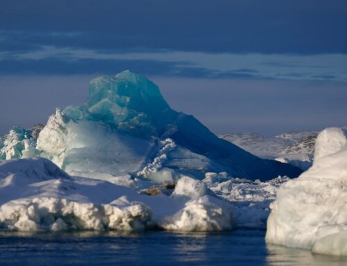 Record 2024 temperatures accelerate ice loss, rise in sea levels, UN weather body says