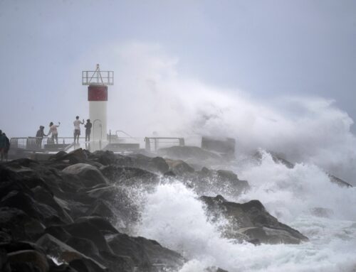 Cyclone Alfred: Where, when is it expected to make landfall in Australia?