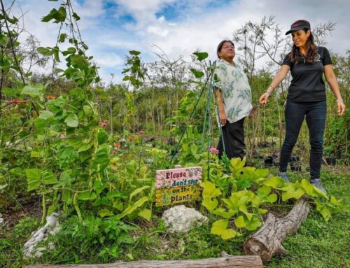 Florida village’s compost program helps Miccosukee Tribe grow gardens