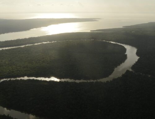 Earth’s Domino Effect: Melting Greenland Ice Could Trigger Amazon Rainforest Collapse