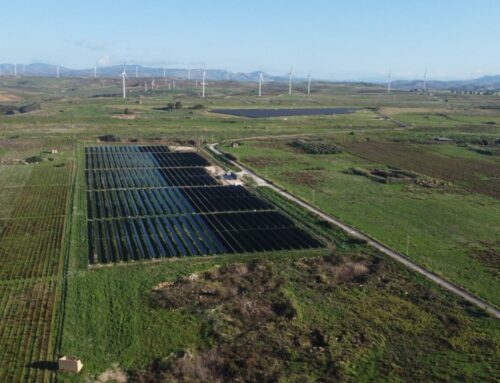 Qualitas and Mirova partner for renewable energy projects