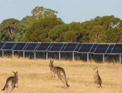 European Energy commissions first Australian solar PV plant