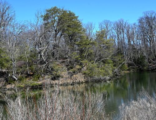 Amid funding concerns, Anne Arundel’s watershed set for for environmental restoration