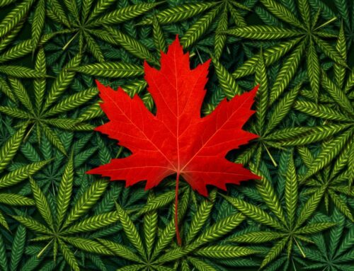 Health Canada updates national cannabis regulations