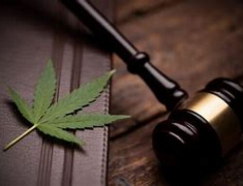 Cannabis Consumers’ Rights Under Attack Across US