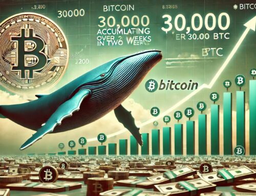 Bitcoin Whales Accumulate Over 30,000 BTC In 2 Weeks – Sign Of A Coming Impulse?