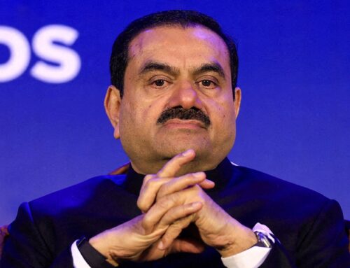 Adani defending key India projects against environmental challenges