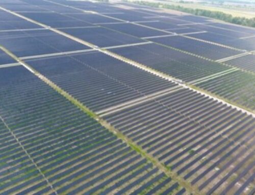 Deriva Energy’s 100 MW Wildflower Solar Facility Now Operational