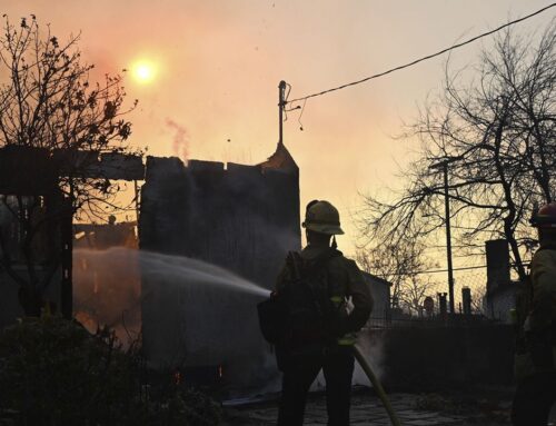 Altadena residents work to save trees following Eaton Fire