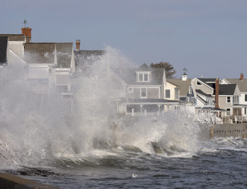 Rising Seas and Land-Based Salt Pollution Pose Dual Threats for Drinking Water