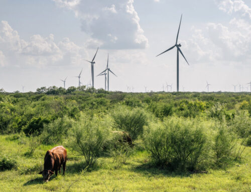 Texas leads U.S. renewable energy generation by a country mile