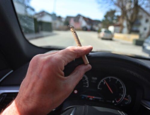 More than 80% of cannabis users admit to driving within hours of consuming: report