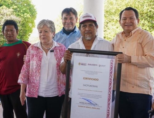 Environment ministry declares 3 Maya communities natural protected areas