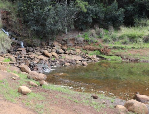 Hydrologists see record-low water levels in Maui and Kauai streams