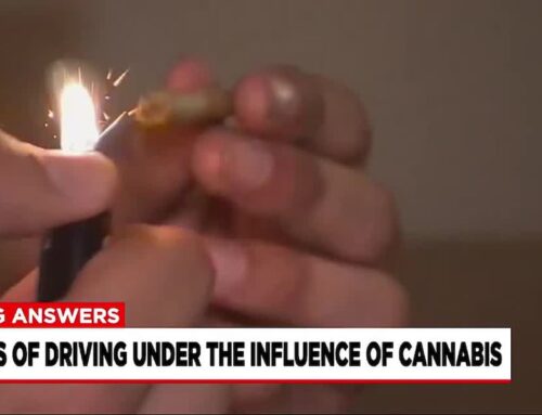 New data highlights amount of drivers under the influence of cannabis