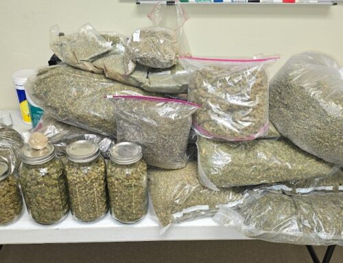 Nevada State Police find over 40 lbs. of illicit cannabis during arrest