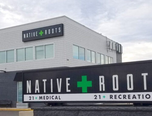 Native Roots co-founder sues former marijuana business partner again