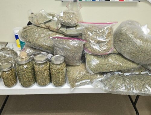 Nevada State Police find 41 pounds of cannabis during shooting investigation in northwest valley