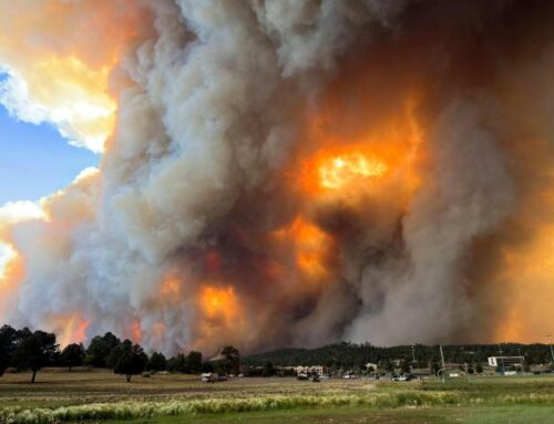 Opinion: Drought, heat waves and fires come to New Mexico with the warming climate