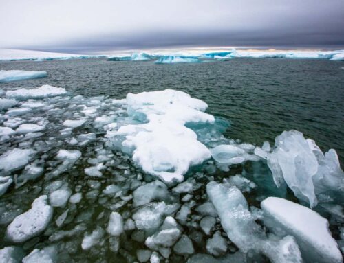 Global sea ice levels just hit a new record low