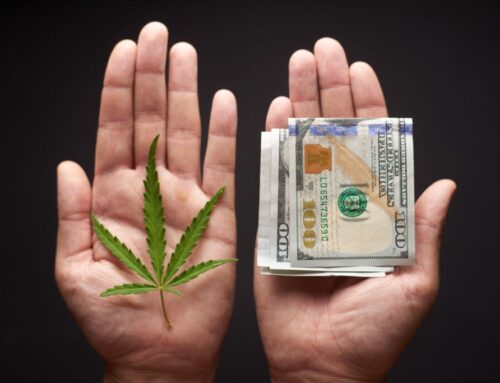 Cannabis Co. Glass House Lands $50 Million Loan With Favorable Terms: Why It Matters For The Industry – Glass House Brands (OTC:GLASF), Glass House Brands (OTC:GHBWF)