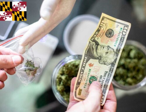 Maryland Collected Nearly $73 Million in Cannabis Tax Revenue in 2024