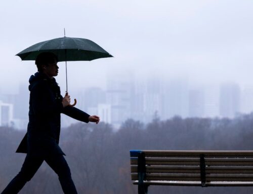 ‘Strong winds and rain’: Environment Canada issues special weather statement for this weekend