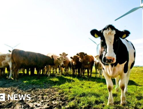 Climate change: Low carbon farming ‘essential’ for climate goals