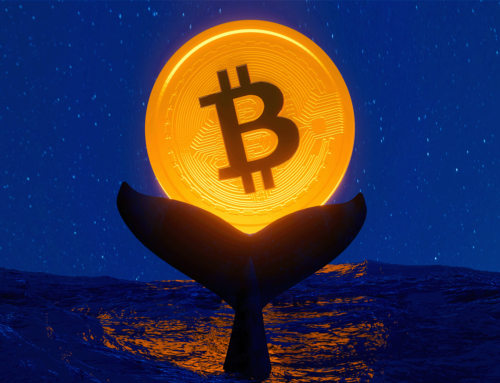 Bitcoin Whale Holdings Drop To Six-Year Low: Is A Deeper Price Decline Ahead?