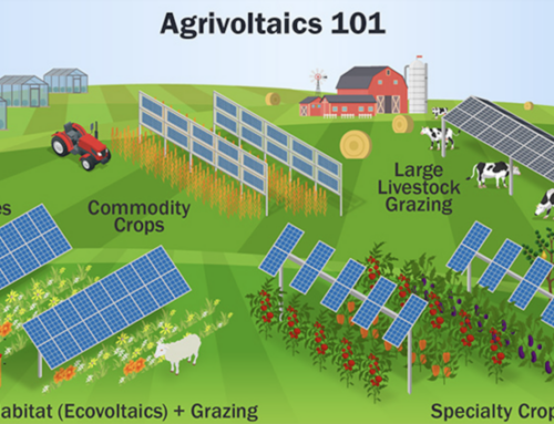 New Agrivoltaic Tool Optimizes Solar Energy And Crops