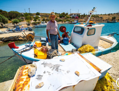 Artisanal fishers are almost as accurate as satellites in producing environmental data, study shows