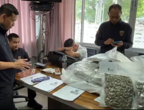 Another 110kg of cannabis seized at Samui airport