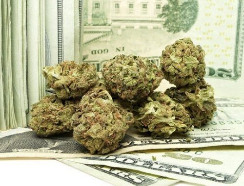 Maryland Collects Nearly $73 Million In Cannabis Tax Revenue In 2024, Comptroller’s Report Shows